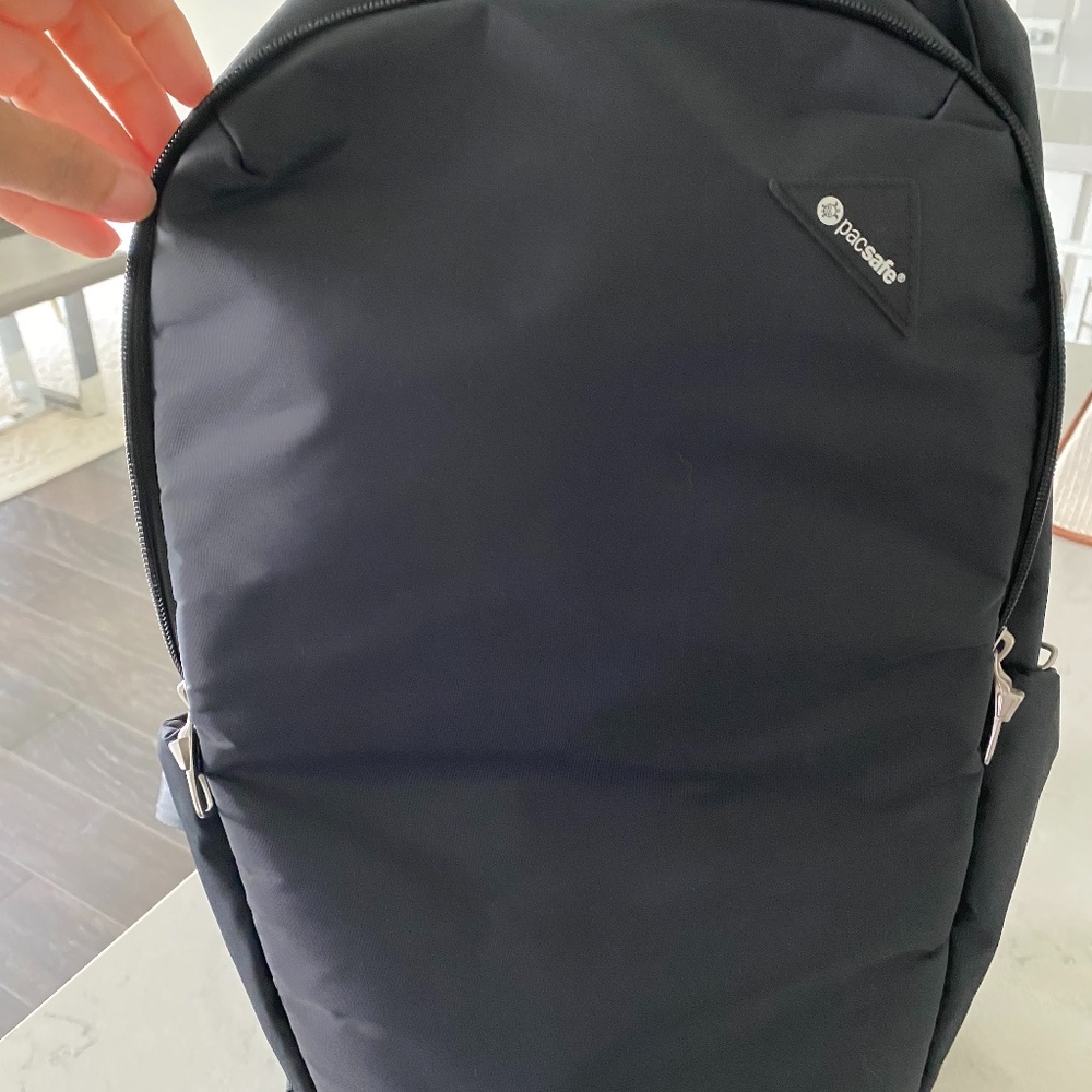 PacSafe Padded Backpack